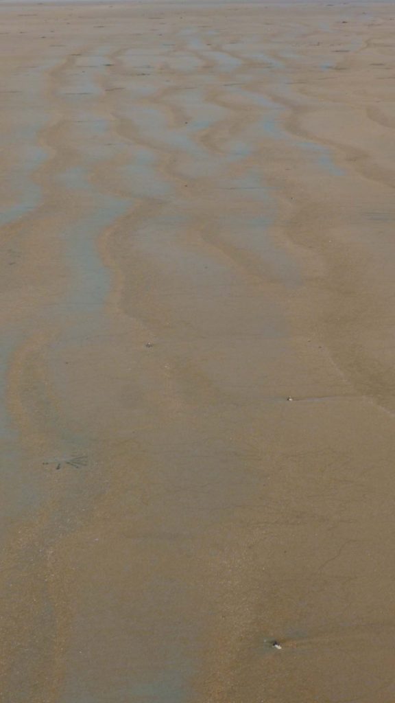 Silty blue deposits on the sand