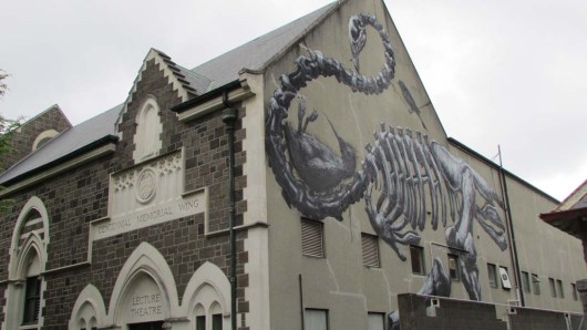 Kiwi near museum by ROA