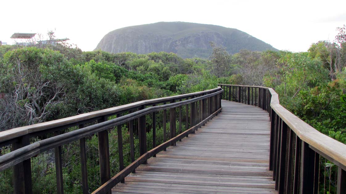 Mount Coolum