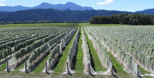 Marlborough, New Zealand