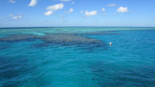 Great Barrier Reef