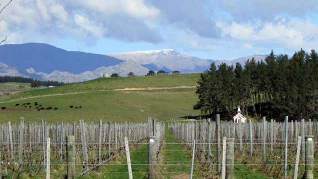 September Spring in New Zealand with snow still on the mountains
