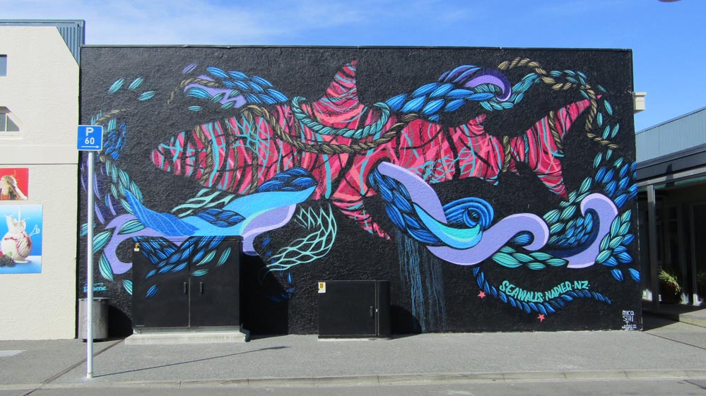 Napier shark seawall art