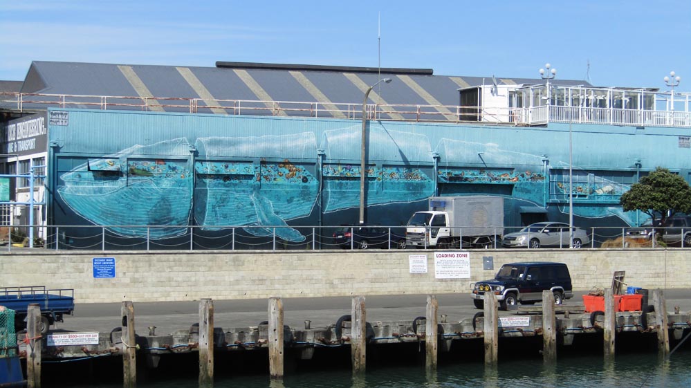 Napier whale seawall art