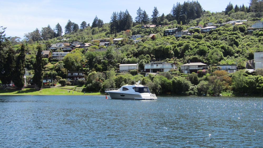 taupo acacia bay homes