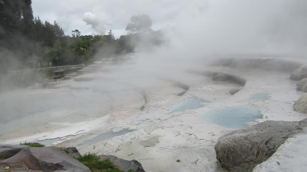 taupo thermal terraces