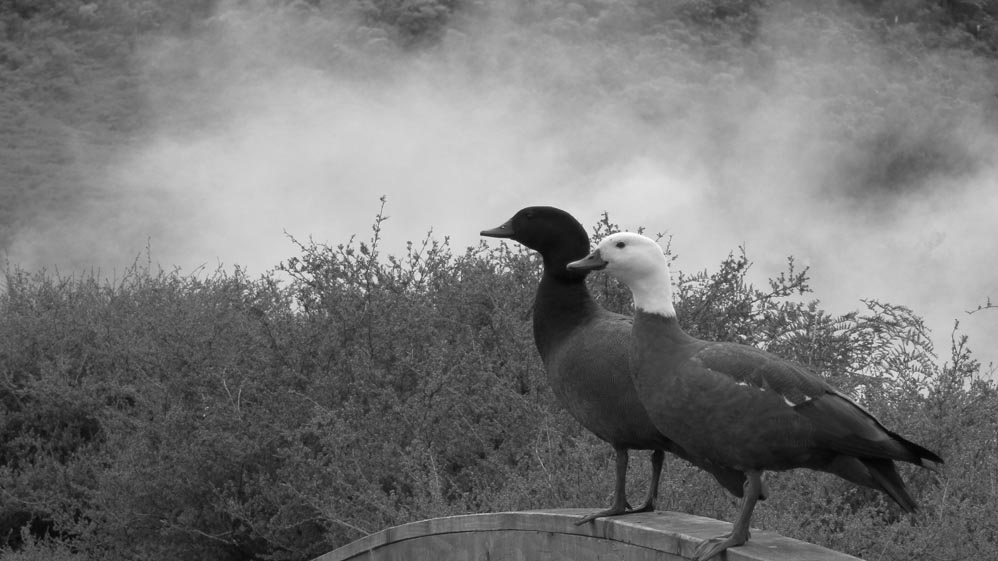 Craters of the moon taupo