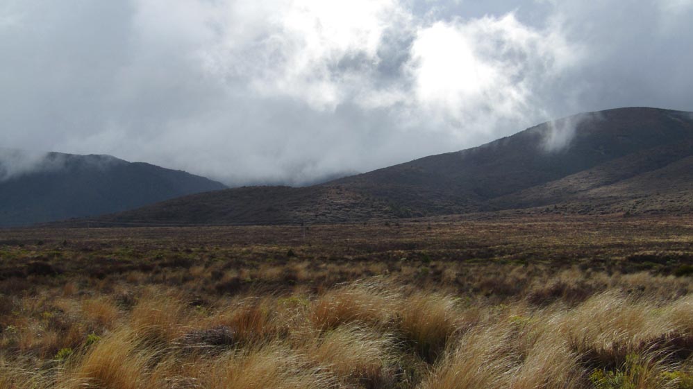 desert road new zealand north island