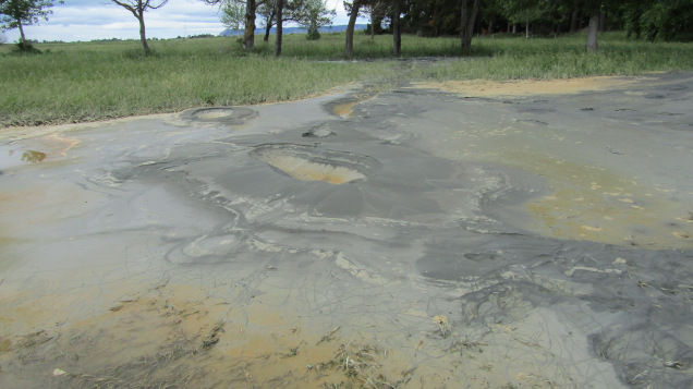 blenheim rowing club liquefaction