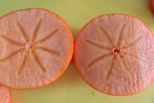 new zealand persimmons