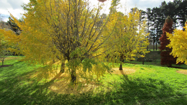 Pakowhai Regional Park