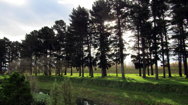 Pakowhai Regional Park