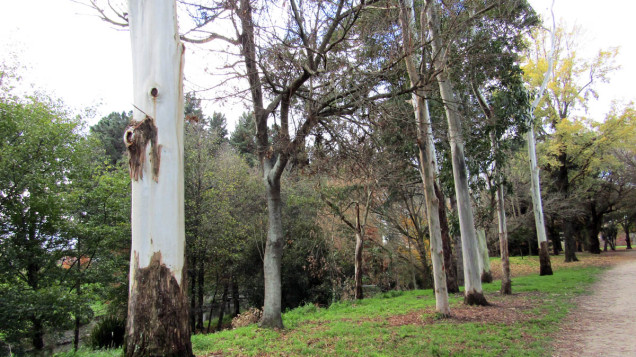 pakowhai regional park