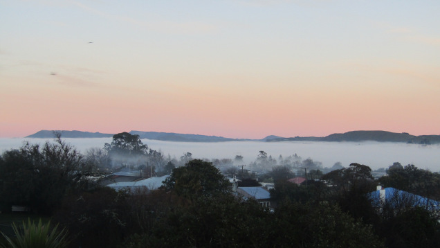 waipukurau fog