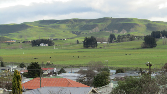 waipukurau view