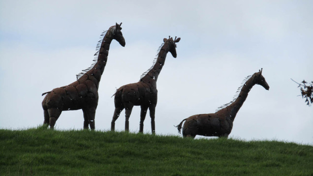 metal giraffes new zealand