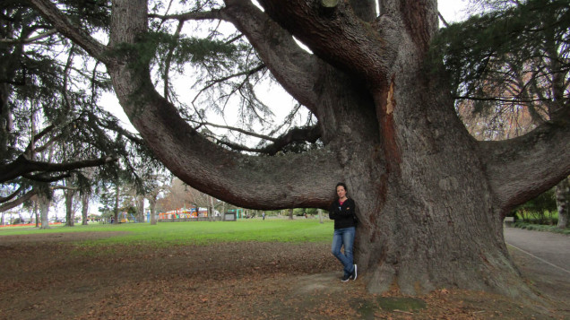 cornwall park hastings