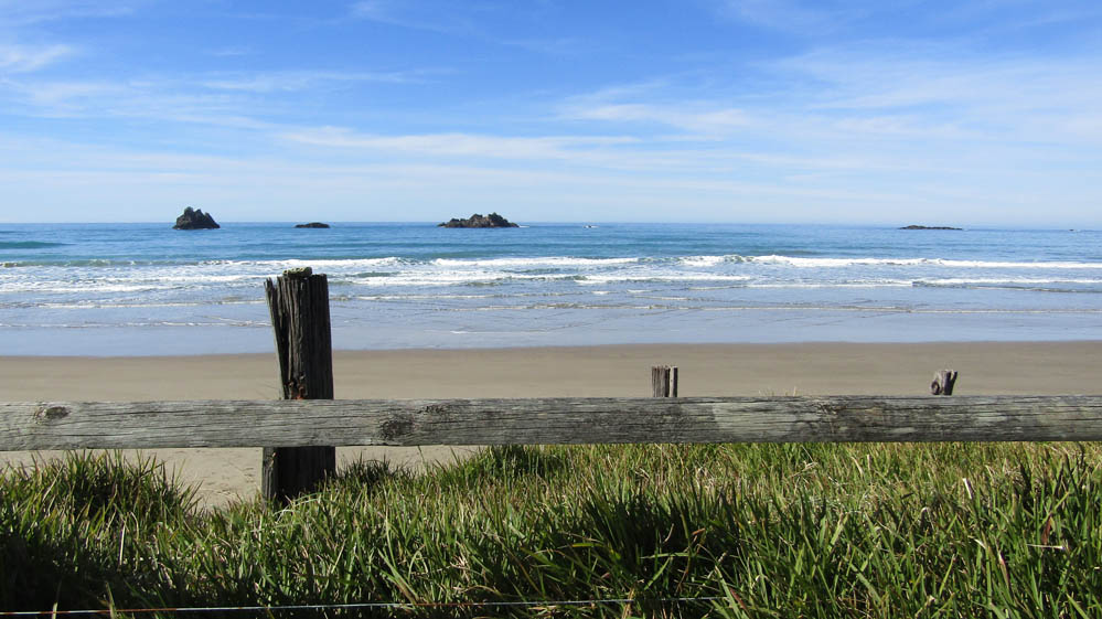 blackhead beach new zealand