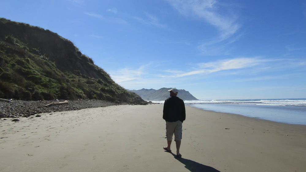 Blackhead beach new zealand