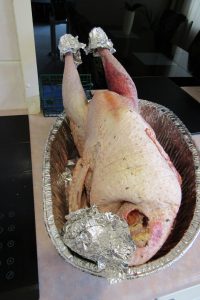 wild turkey thanksgiving