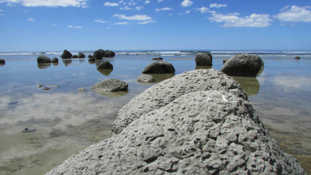Te Angiangi Marine Reserve mudstone