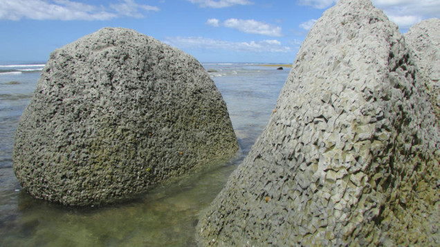 Te Angiangi Marine Reserve mudstone