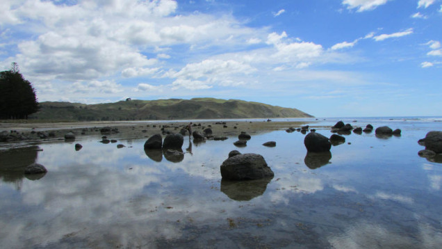 Te Angiangi Marine Reserve