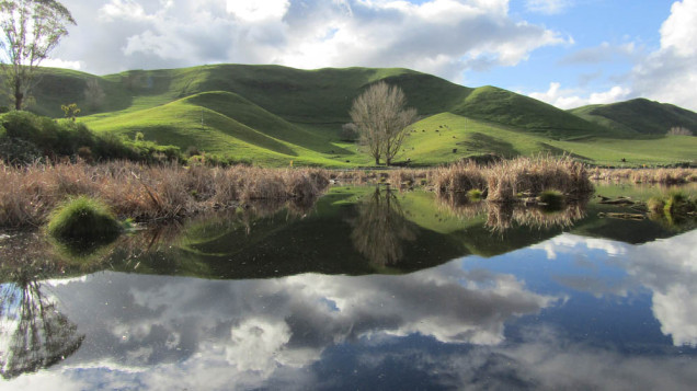 Peka Peka wetlands