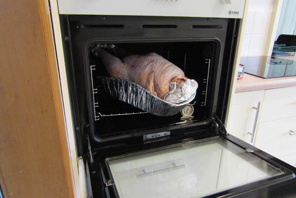 wild turkey in small oven