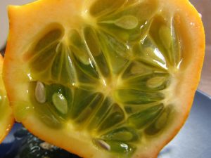 inside horned melon