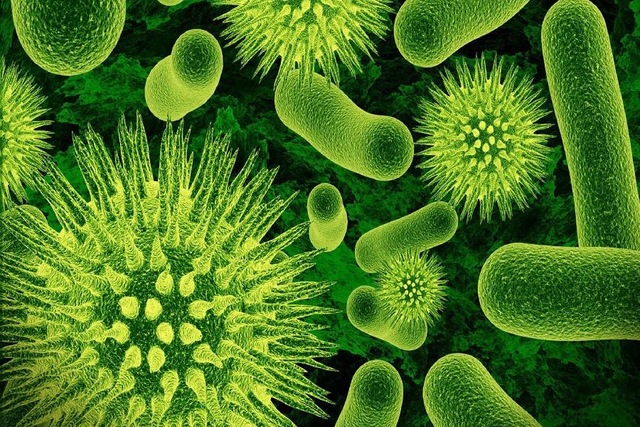 microgerms