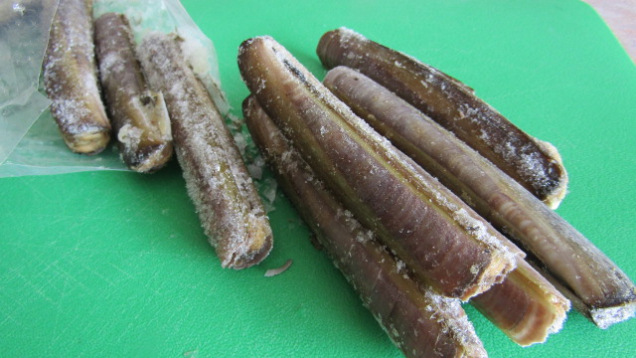 Frozen razor clams new zealand