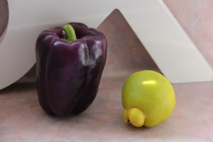 purple bell pepper capsicum and japonica