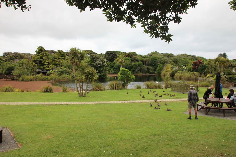 grounds of nga manu reserve