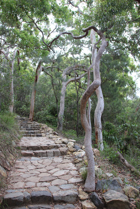 Mt Coolum park steps
