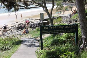 Noosa National Park tea tree bay