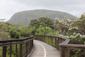 view of mt coolum from Boardwalk