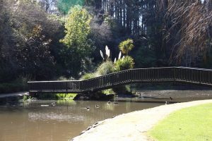 Dannevirke Domain bridge