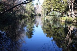 Dannevirke Domain reflection pond