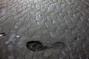 kai iwi-beach-black-sand