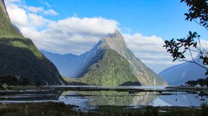 classic-milford-sound-view-from-shore