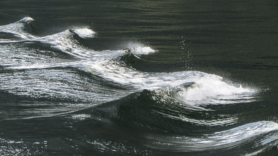milford-sound-water-waves