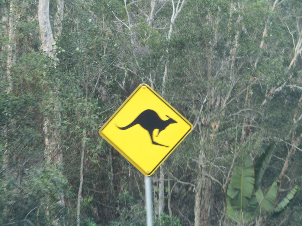 Kangaroo sign