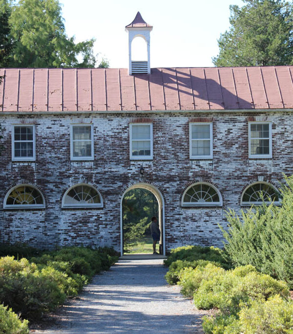 Blandy Experimental Farm – State Arboretum of Virginia